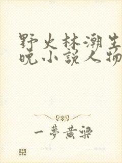 野火林潮生林晚晚小说人物野火