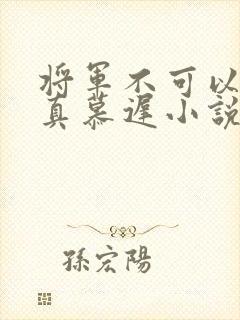 将军不可以魏云真慕迟小说笔趣阁封面