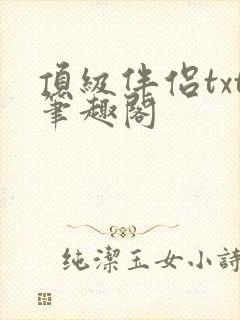 顶级伴侣txt笔趣阁