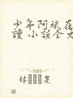 少年阿斌在线阅读 小说全文免费