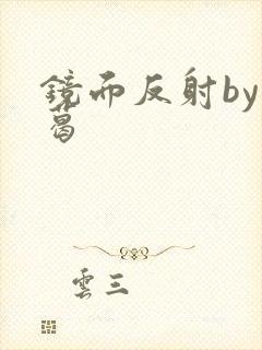 镜面反射by九葛