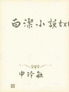 白洁小说txt