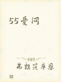 55爱网
