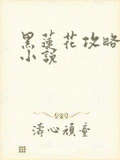 黑莲花攻略手册小说