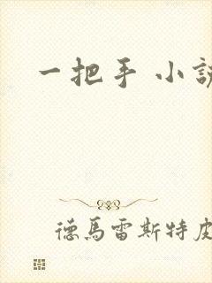 一把手 小说