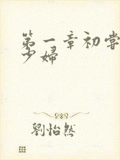 第一章初尝极品少妇