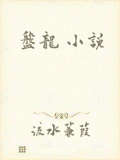 盘龙 小说