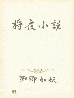 将夜小说封面