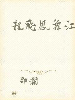 龙飞凤舞江一龙封面