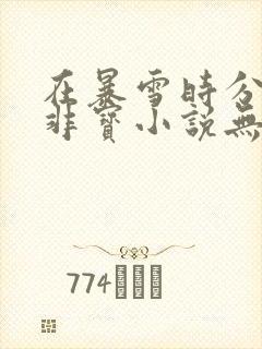 在暴雪时分墨宝非宝小说无删减版