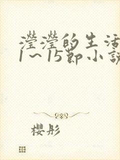 滢滢的生活日记1～15节小说封面