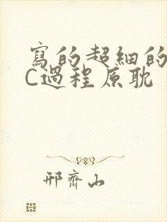 写的超细的多肉C过程原耽