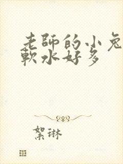 老师的小兔子好软水好多封面