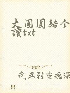 大团圆结全文阅读txt
