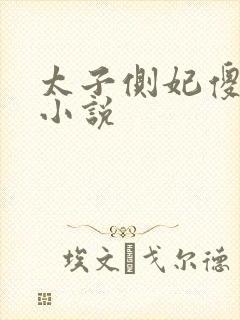 太子侧妃傻乎乎小说