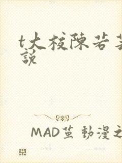 t大校陈若芸小说