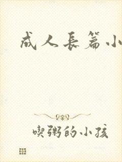 成人长篇小说封面