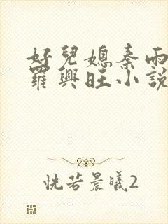 好儿媳秦雨罗明罗兴旺小说