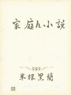家庭h小说