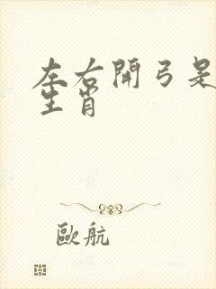 左右开弓是什么生肖