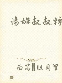 汤姆叔叔转接口