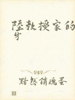 陆教授家的小月牙封面