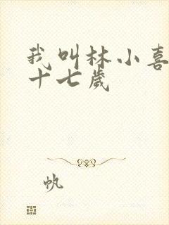 我叫林小喜今年十七岁