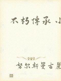 不朽传承 小说封面