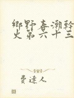 乡野春潮干柴烈火第六十三章