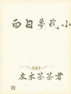 白日梦我小说