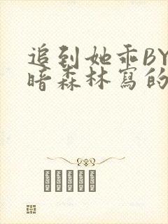 追到她乖BY黑暗森林写的小说