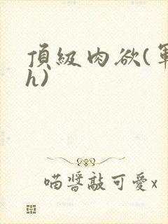 顶级肉欲(军高h)