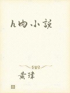 h肉小说