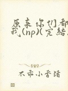 原来你们都想上我(np)(完结)