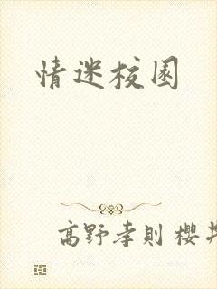 情迷校园封面