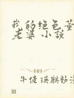 我的绝色董事长老婆 小说