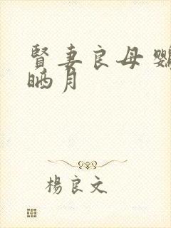 贤妻良母 鹦鹉晒月封面