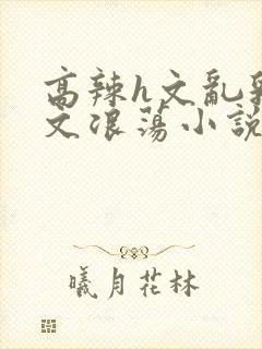 高辣h文乱乳h文浪荡小说苏柔封面