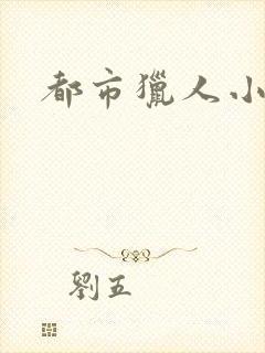都市猎人小说