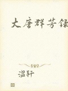 大唐群芳录封面