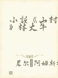 小说《山村情事》林大牛