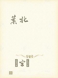 叶北封面