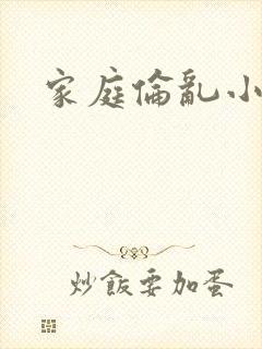 家庭伦乱小说封面