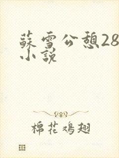 苏雪公憩28篇小说封面