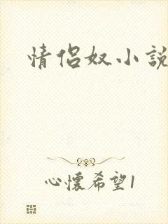 情侣奴小说封面