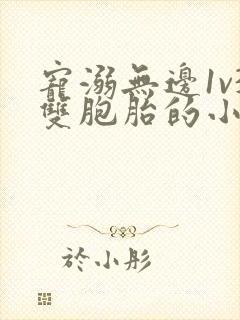 宠溺无边1v3双胞胎的小说