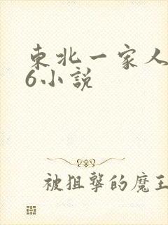 东北一家人1一6小说