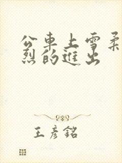 公车上雪柔被猛烈的进出