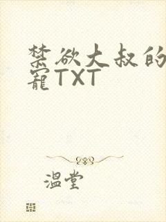 禁欲大叔的心尖宠TXT