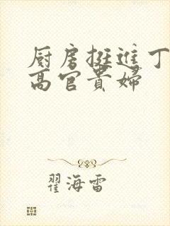 厨房挺进丁字裤高官贵妇封面